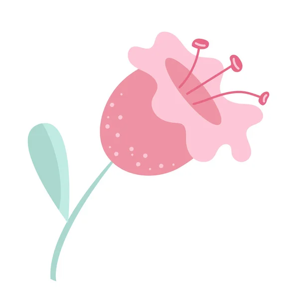 Vektorové Ilustrace Roztomilé Letní Květiny Botanické Ručně Kreslené Květinové Prvky — Stockový vektor