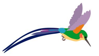 Uzun ince gagalı ve beyaz arka planda parlak mavi tüylü küçük tropikal sinekkuşu. Vahşi yaşam teması. Uçan Kolibri 'nin Düz Çizimi