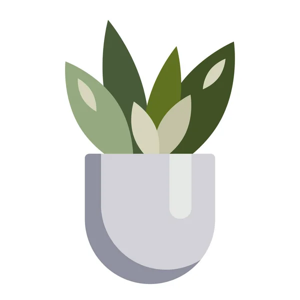Não-floração planta interior em um pote. Herbal casa decoração elemento colorido desenho. Ilustração vetorial para desenho sazonal, estampas, coloração —  Vetores de Stock