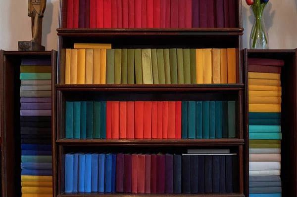 Półka z wieloma książkami — Zdjęcie stockowe