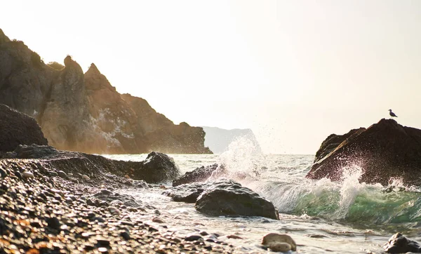 Des vagues éclaboussantes s'écrasent contre des rochers sur Jasper Beach au cap Fiolent au lever du soleil — Photo