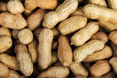 Yüzeyde yakın çekim fotoğrafında kabuklu fıstıkların olduğu fotoğraf..