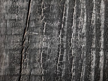 Fırçalanmış ve yanmış tahta yüzeyin çatlak desenli fotoğrafı..