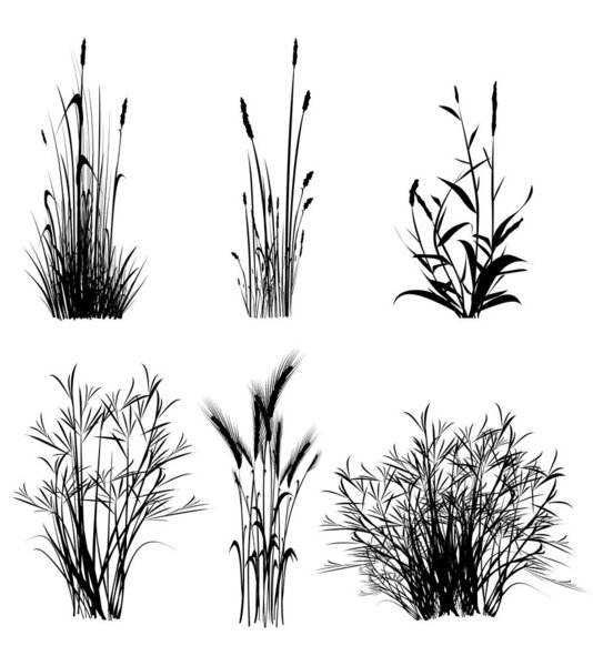 Isolated silhouette illustration of black colored grass shapes on white background.
