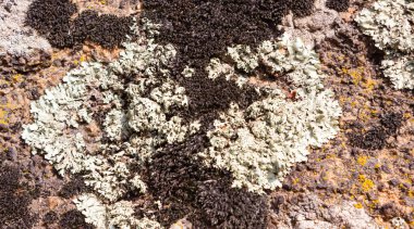 Siyah ve kahverengi renkli taşın arkaplan desenli fotoğrafı, yakın plan fotoğrafı..