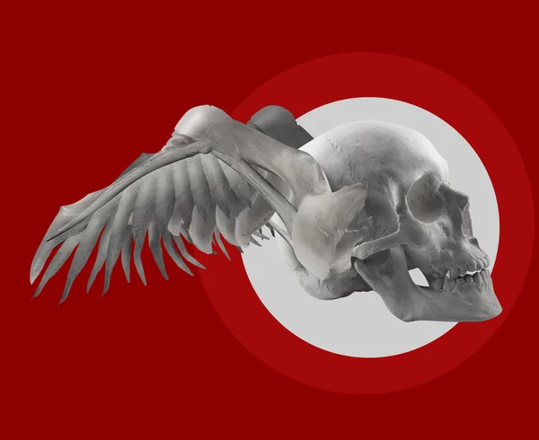 Skull with wings on red composition. — Stock Photo, Image