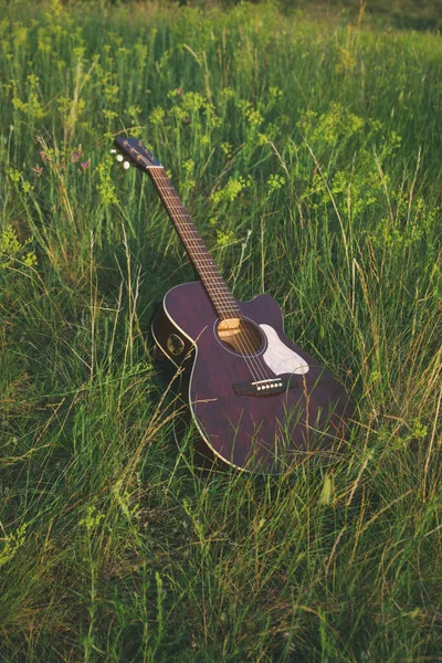 Çimlerin üzerinde akustik gitar. Çiçekli müzik aleti gitarı. Klasik 