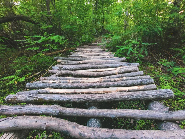 Jembatan dari kayu log. Jembatan lurus. Struktur sederhana pohon di seberang sungai. — Stok Foto