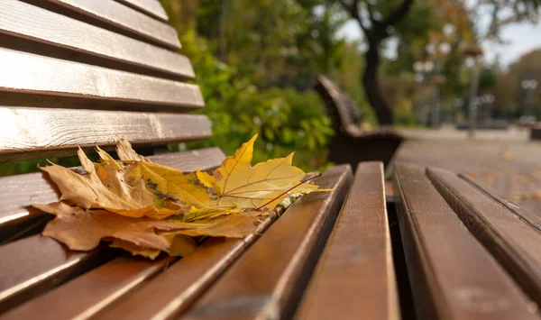 Tło jesień czas, liście na ławce — Zdjęcie stockowe