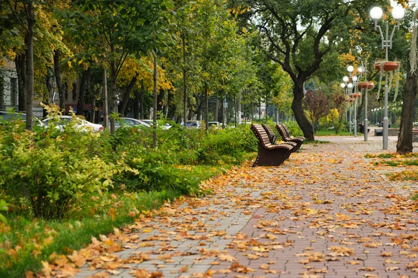 Скамейка в осеннем парке, листья на земле. — стоковое фото