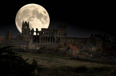 Whitby Abbey, daha sonra Benedictine manastırı haline gelen bir 7. yüzyıl Hıristiyan manastırı. Manastır kilisesi, Kuzey Yorkshire, İngiltere 'de Whitby' nin yukarısındaki Doğu Kayalıkları 'na bakan Kuzey Denizi' nde yer almaktadır. Bram Stoker, Drakula romanı, Sky ekledi.