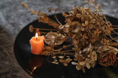 Siyah arkaplanda kurumuş çiçekler