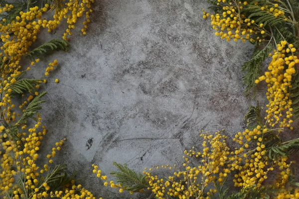Sarı çiçekli gri taşlı arkaplan ve metin için yer