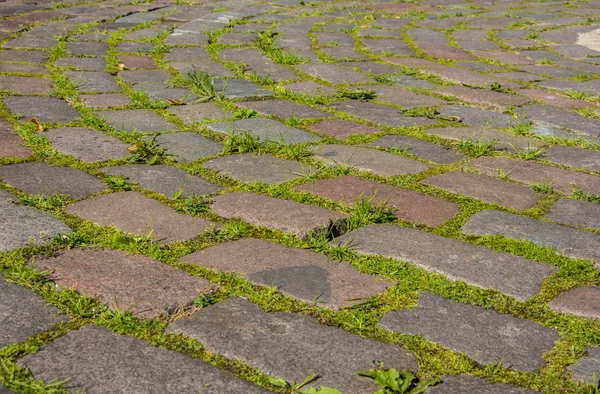 Çim ve moss ile tuğla yolu