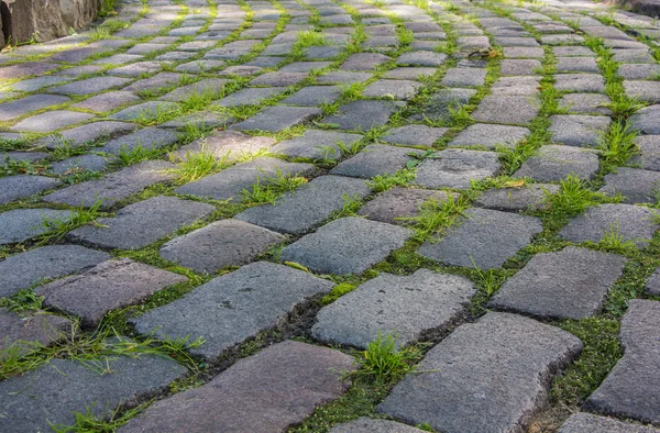 Bakstenen weg met gras en mos Stockfoto