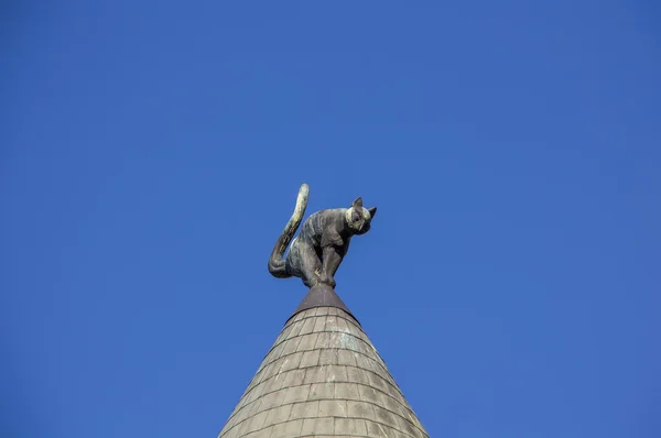 riga kedi evinde. Letonya