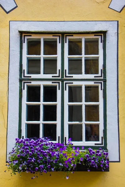 Hermosa ventana con caja de flores y persianas Imagen De Stock