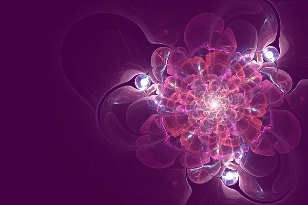 Abstract fractal flower — Stock Photo, Image