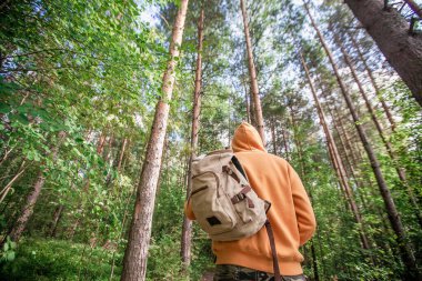 Yeşil ormanda sırt çantalı bir adam yürüyüş yapıyor. Arkadan bak. Sağlıklı insanlar etkinlik kavramı.