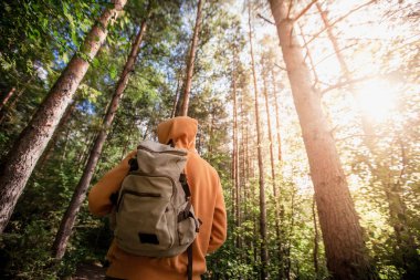 Yeşil ormanda sırt çantalı bir adam yürüyüş yapıyor. Arkadan bak. Sağlıklı insanlar etkinlik kavramı.