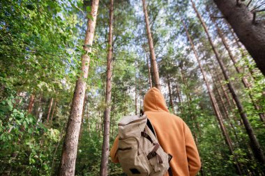Yeşil ormanda sırt çantalı bir adam yürüyüş yapıyor. Arkadan bak. Sağlıklı insanlar etkinlik kavramı.