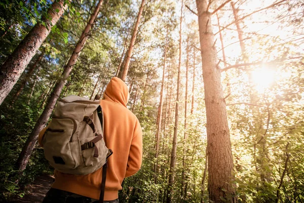 Man hiking with backpack in green forest. Back view. Healthy people activity concept.