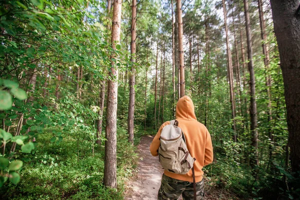 Man hiking with backpack in green forest. Back view. Healthy people activity concept.