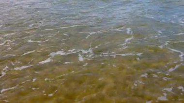 Dinamik okyanus dalgaları: büyüleyici hareket ve deniz yaşamının enerjisi, köpük desenleri, kıyı aktivitesi