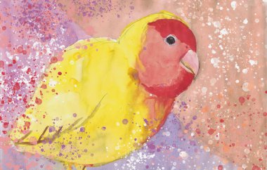 kırmızı ve sarı papağan yuvarlak başlı, kanatlı ve kuyruklu