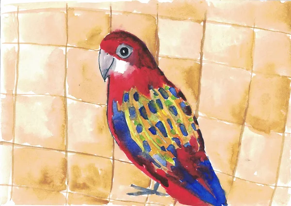 Papagaio Rosella Com Manchas Multicoloridas Uma Cauda Longa — Fotografia de Stock