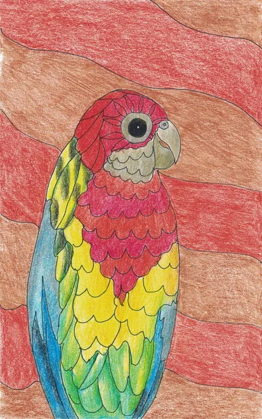 Papagaio Rosella Desenho Animado Com Lugares Multicores Uma Cauda Longa — Fotografia de Stock