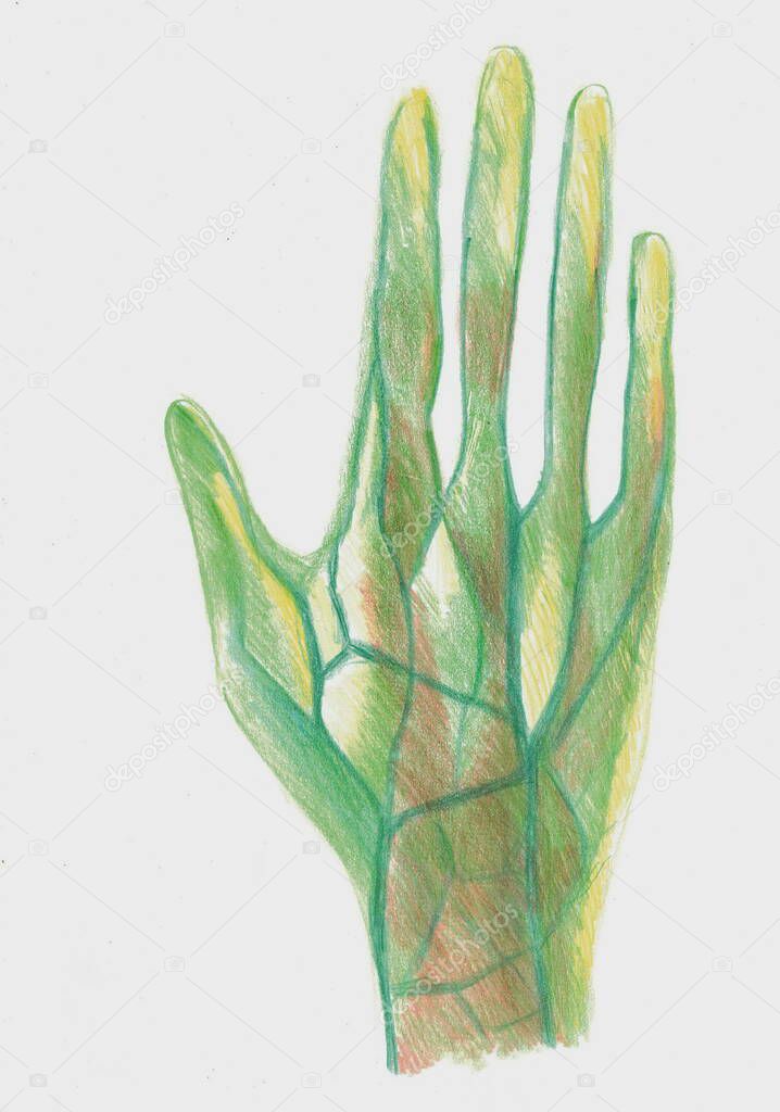 close-up green hand with five fingers with capillaries under x-ray
