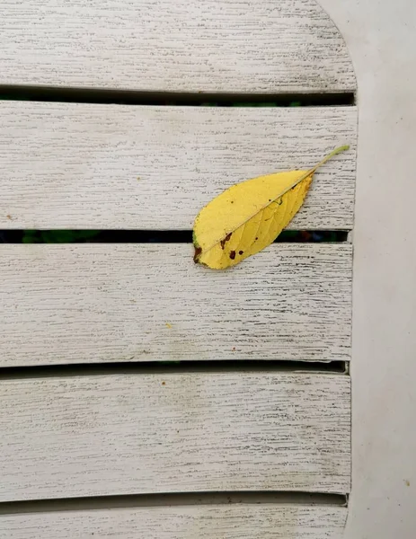 Samotny Żółty Liść Jesienią Szorstkiej Drewnianej Powierzchni Stołu — Zdjęcie stockowe