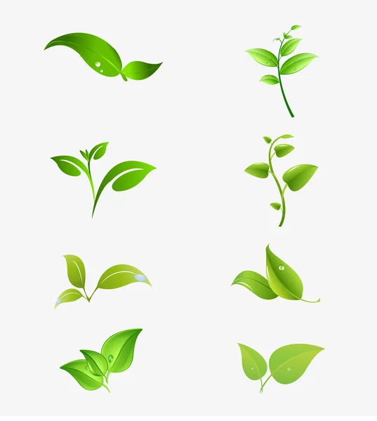 Vector natural symbols with leaf — Stock Vector