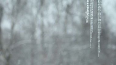 Buz sarkıtları kar arka plan üzerinde