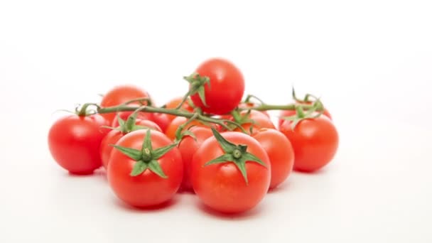 tomates cerises sur fond blanc