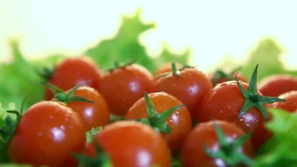 Cherry tomatoes — Stock Video