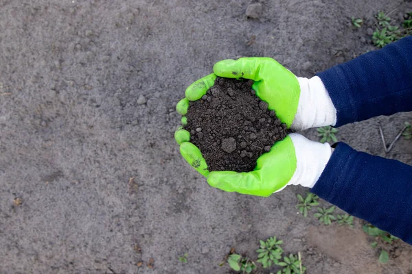Farmer holding soil in hands close-up. View from above. Agriculture, gardening.