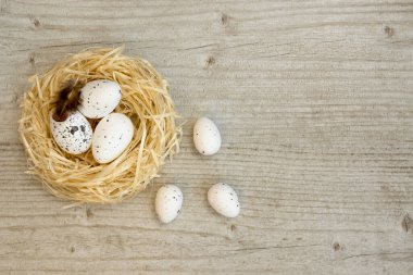 Yuvadaki paskalya dekoratif yumurtaları ahşap arka planda. Metninizi yerleştireceğiniz yer. Bahar tatili.