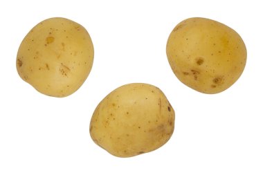 Beyaz arka planda üç taze çiğ patates, çiğ sebze, yeni hasat, üst manzara.