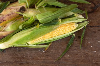 Kırsal masada taze mısır koçanları, yakın çekim, yan görüş, ahşap arka planda bir yığın mısır.