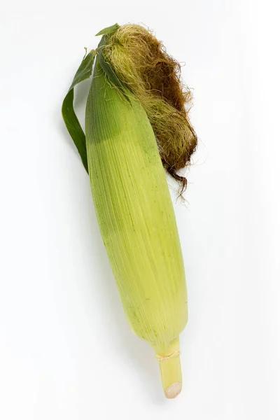 Fresh Corn Ears Leaves Isolated White Background Top View Closed — Stock Photo, Image