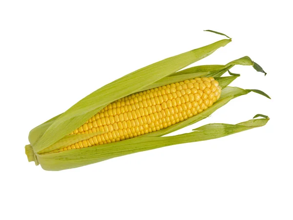 在白色背景上分离的玉米芯 有叶子和壳的新鲜玉米穗 玉米粒 甜玉米粒 — 图库照片
