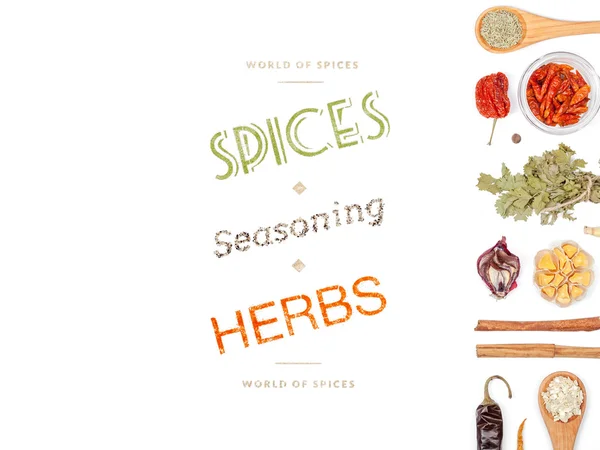 farklı baharatlar ve otlar beyaz zemin üzerinde. Üstten Görünüm