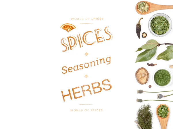 Different spices and herbs  on white background. top view — Stock Photo, Image