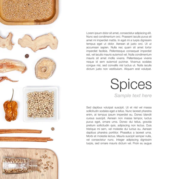 farklı baharatlar ve otlar beyaz zemin üzerinde. Üstten Görünüm