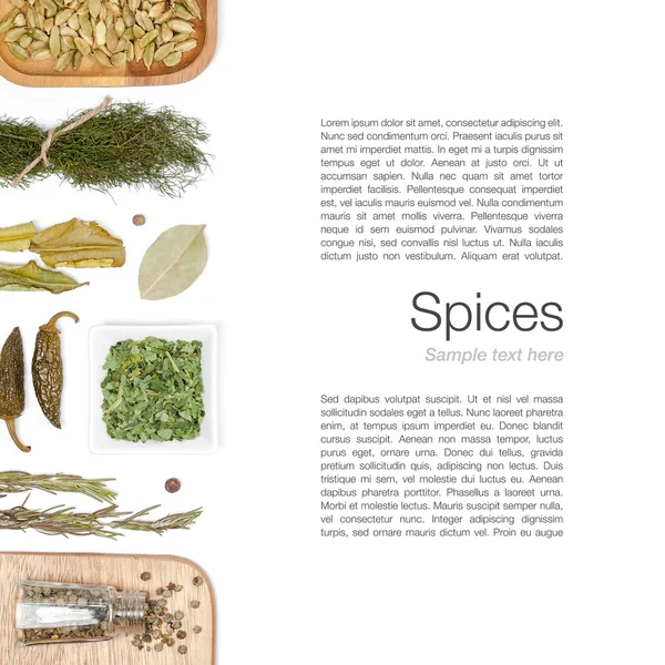 Diferentes especias y hierbas sobre fondo blanco. vista superior Imágenes de stock libres de derechos