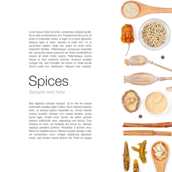 farklı baharatlar ve otlar beyaz zemin üzerinde. Üstten Görünüm