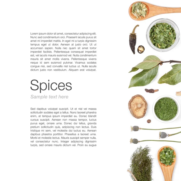 farklı baharatlar ve otlar beyaz zemin üzerinde. Üstten Görünüm