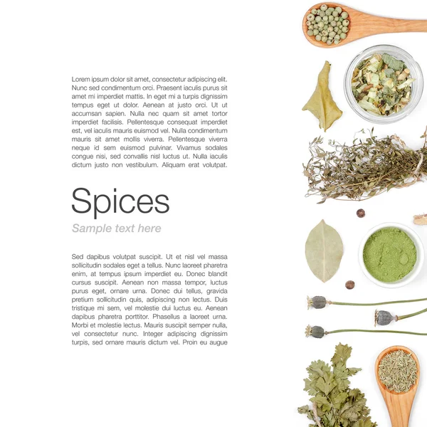 farklı baharatlar ve otlar beyaz zemin üzerinde. Üstten Görünüm